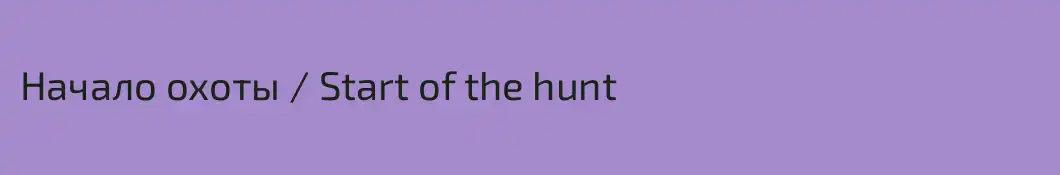 Начало охоты / Start of the hunt
